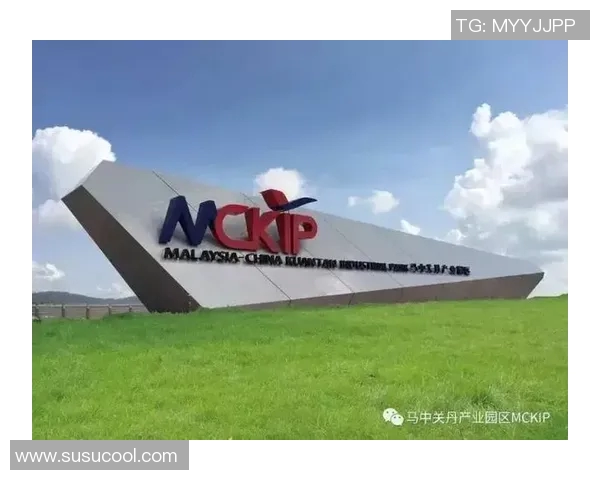 WE启用昭珏俱乐部推动创新与合作共赢的新篇章