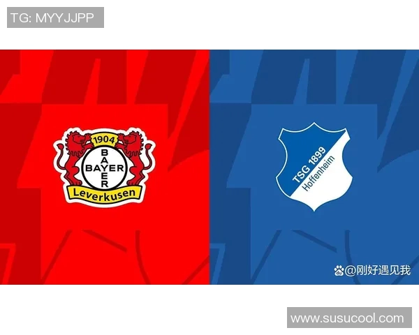 勒沃库森力克霍芬海姆，德甲前列再添一分